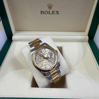 2023 Rolex Datejust 36 Stainless Steel & 18K Yellow Gold Palm-Motif Dial Oyster Bracelet Smooth Bezel 126203